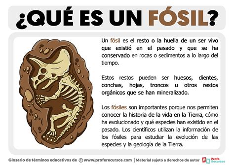 para qué sirve el fósil